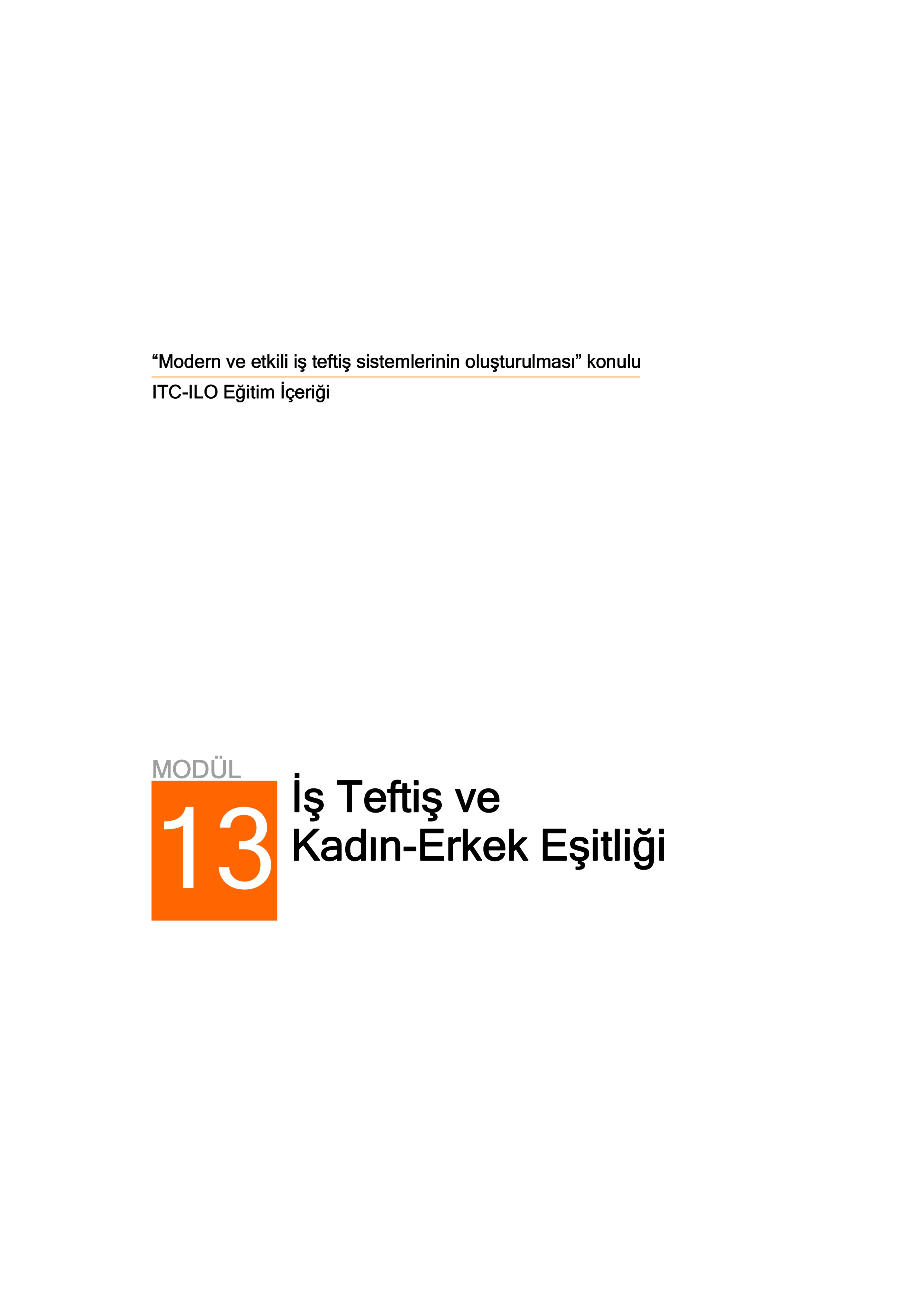 İş Teftiş ve Kadın-Erkek Eşitliği
