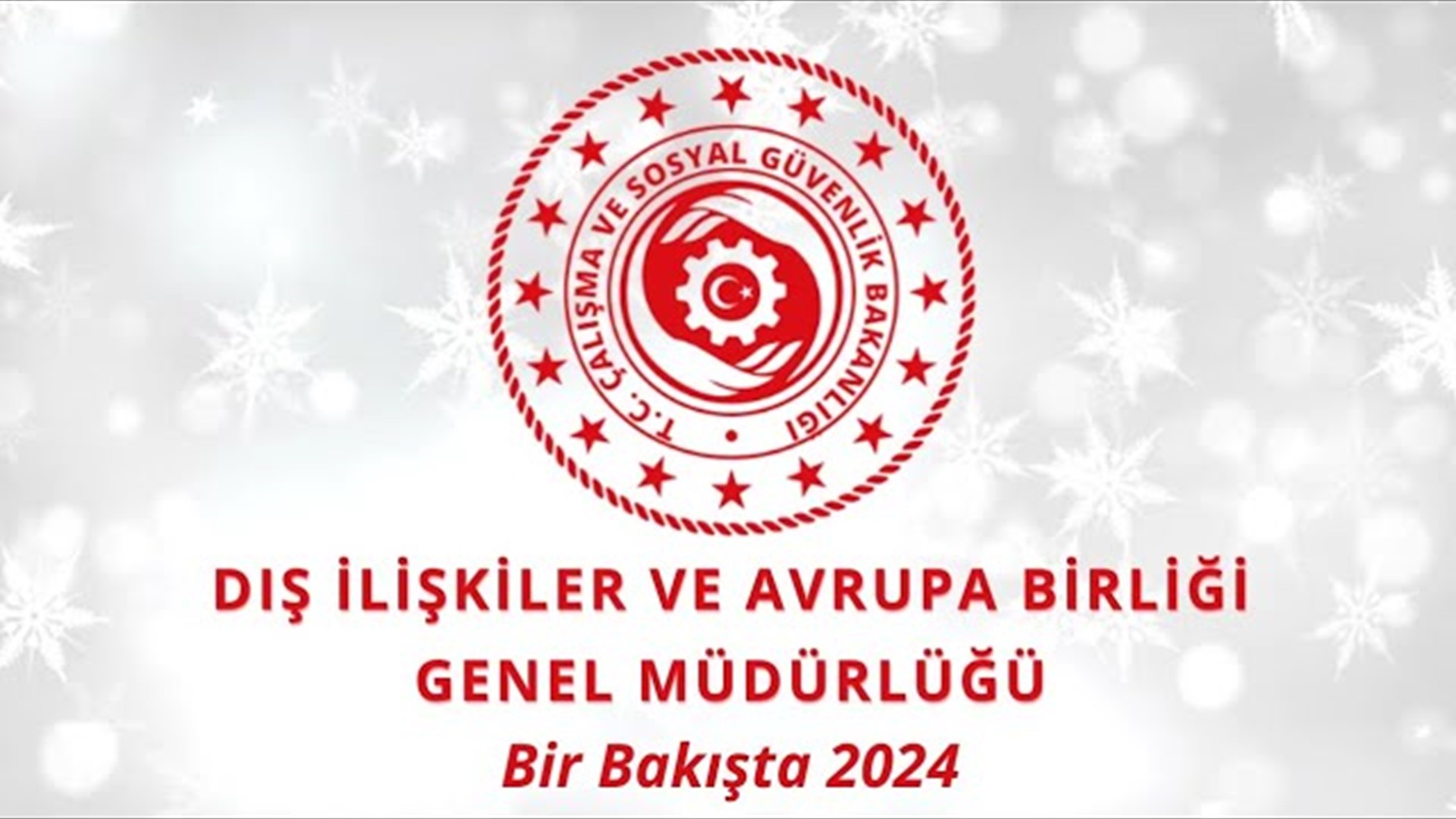 Bir Bakışta 2024