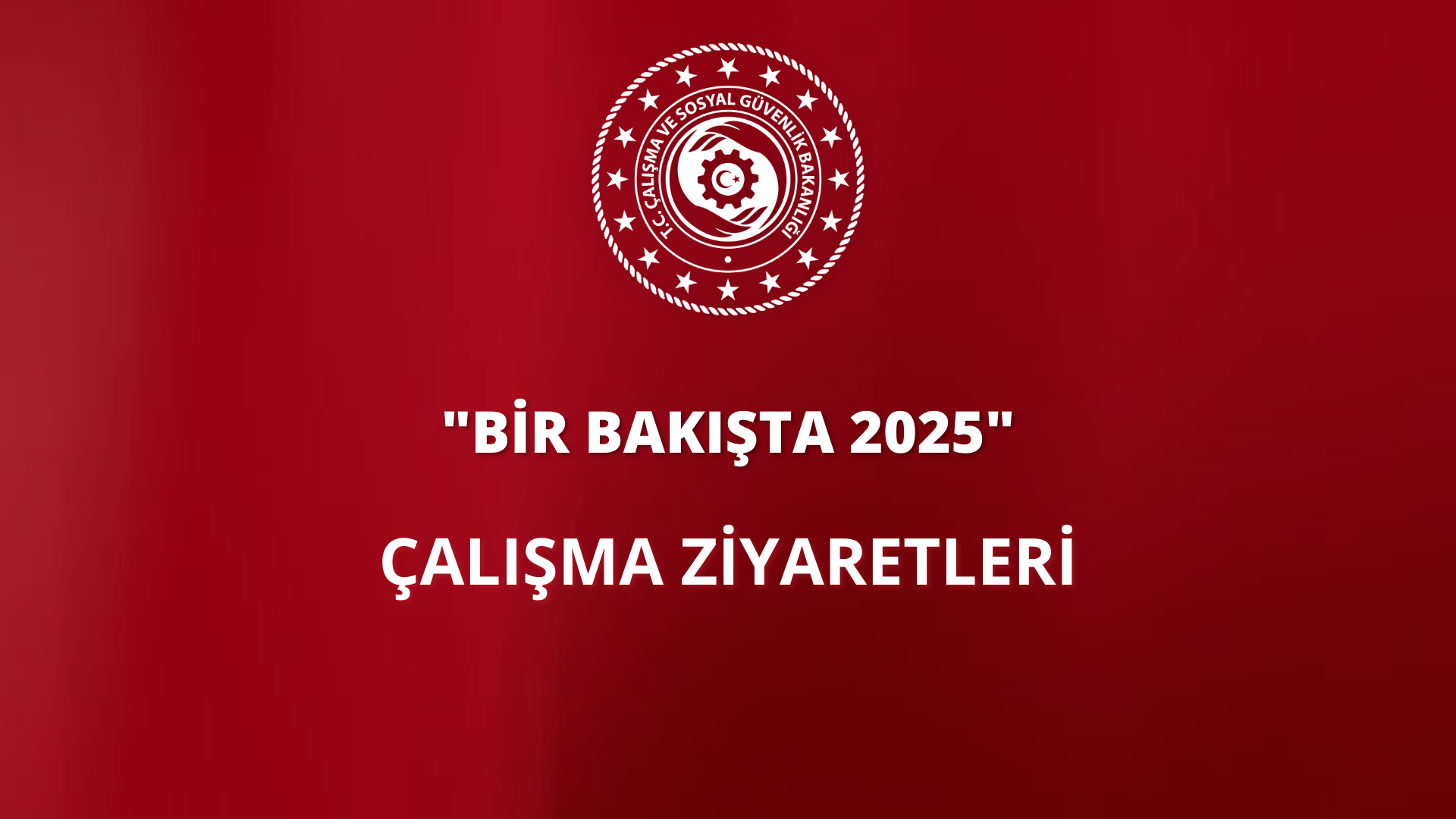 Bir Bakışta 2025 | Çalışma Ziyaretleri